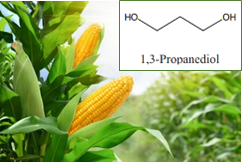 1,3-Propanediol