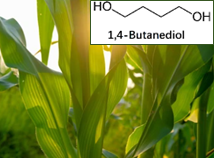 1,4-Butanediol