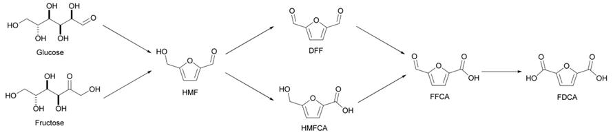 Conventional synthesis and oxidation of 5-hydroxymethylfurfural to 2,5-furandicarboxylic acid