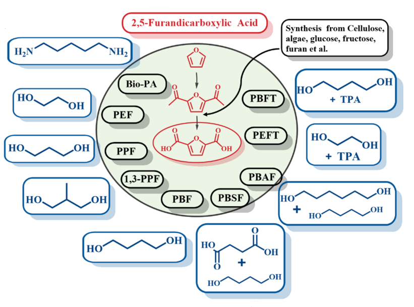 Different polymers derived from 2,5-furandicarboxylic acid