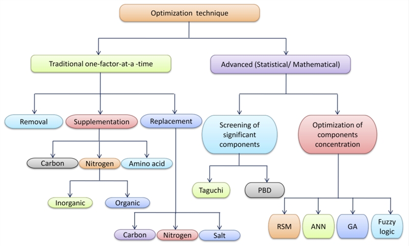 Fermentation Process Development and Optimization