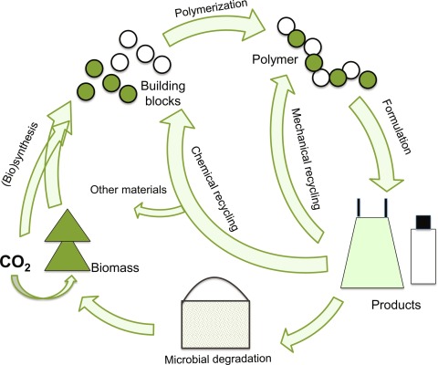 Fig. 3 Graphical representation of the production of bio-based plastics and their recycling
