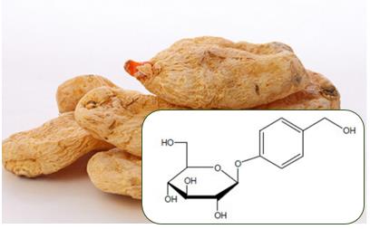 Gastrodia elata and chemical structure of gastrodin