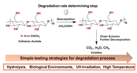 Fig. 4 The potential degradation pathway and simple testing strategies adopted for evaluating the degradation of cellulose acetate