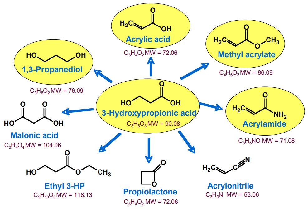 3-Hydroxypropionic Acid and Derivatives