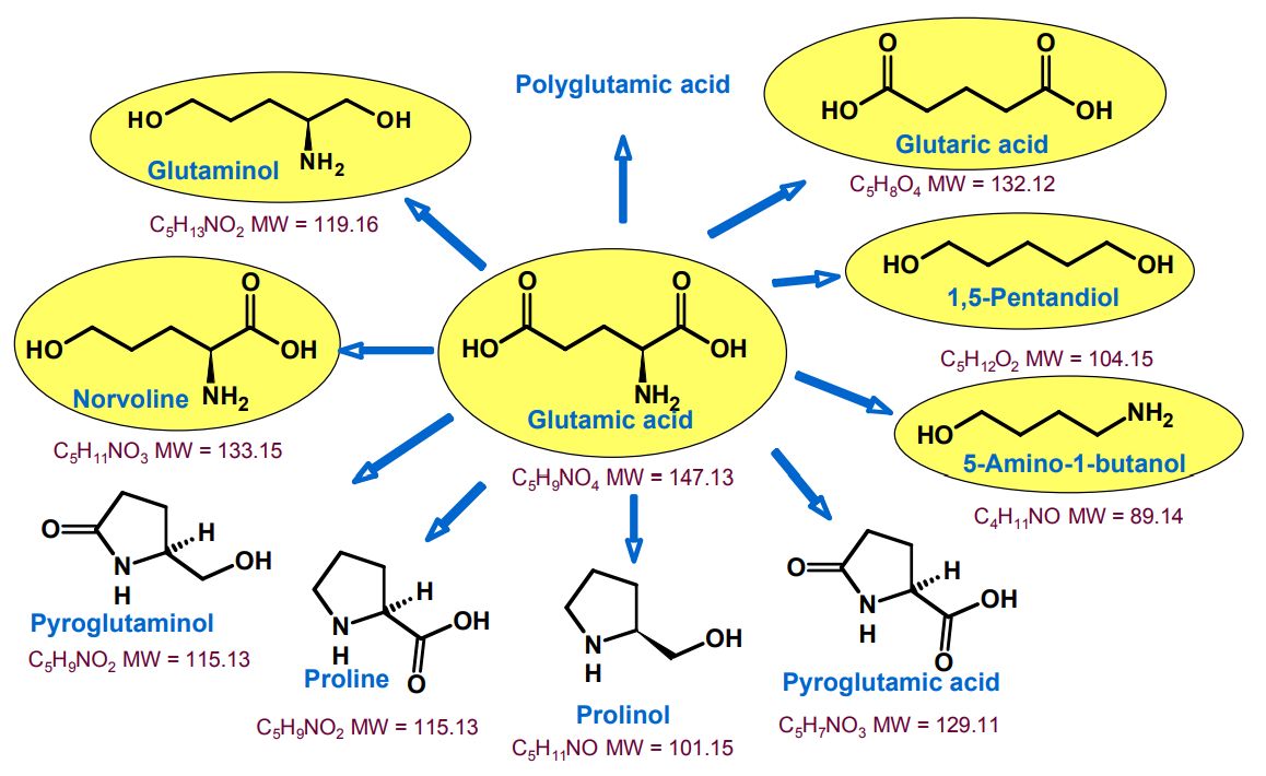 Glutamic Acid and Derivatives