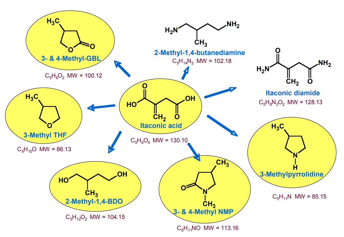 Itaconic Acid and Derivatives