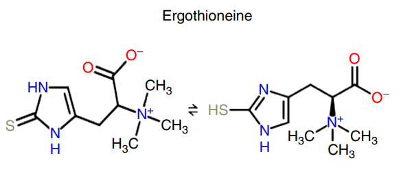 Structures of ergothioneine 