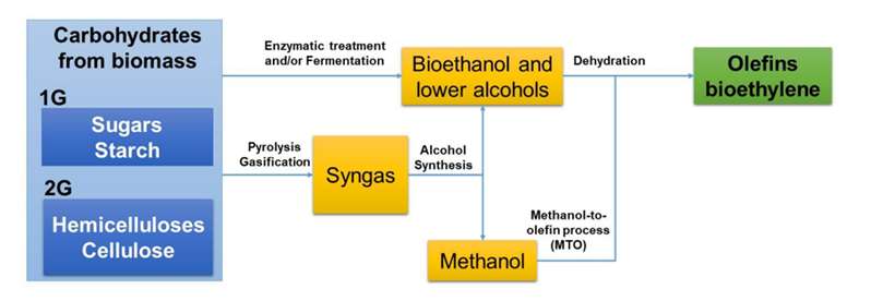 Fig. 1 The production process to make bio-based ethylene from carbohydrate biomass