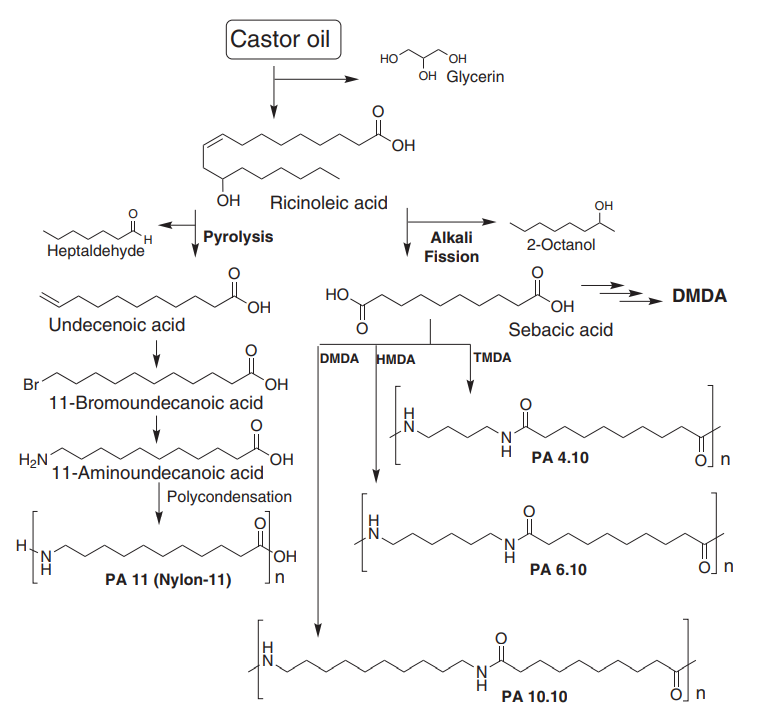 Fig. 1 Monomers and polyamides from castor oil