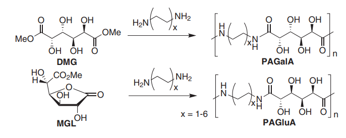 Fig. 2 Polyamides based on galactaric acid and a glucarate lactone