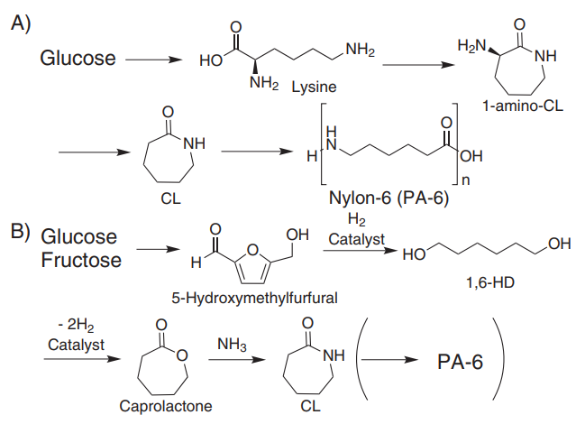 Fig. 3 Synthesis of ε-caprolactam (CL) and Nylon-6 starting from C6 sugars A) via lysine, B) via 5-Hydroxymethylfurfural