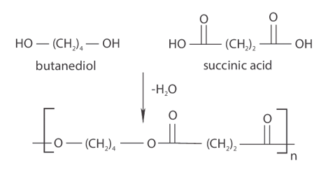 Fig. 2 Synthesis of polybutylene succinate