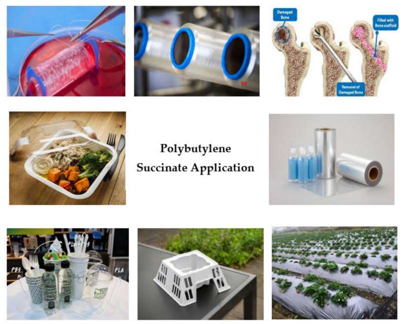 Fig. 4 Applications of polybutylene succinate