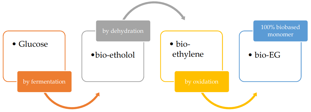 Fig. 1 General scheme for bio-ethylene glycol (bio-EG) monomer production