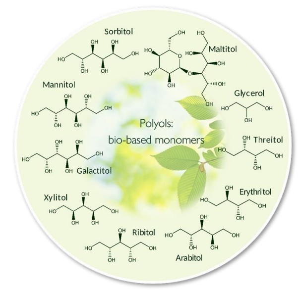 Typical polyol monomers