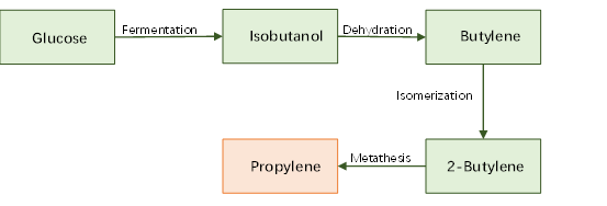 Fig. 2 Biochemical route for propylene