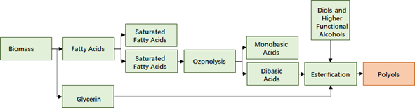 Fig. 2 General process flow of polyols